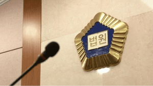 10대 母, 신생아 변기 방치 사망…법정구속
