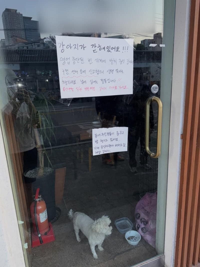 "성시경 유튜브 나온 횟집 강아지 방치 논란" 확산…업주 해명 후 반려견 데려가