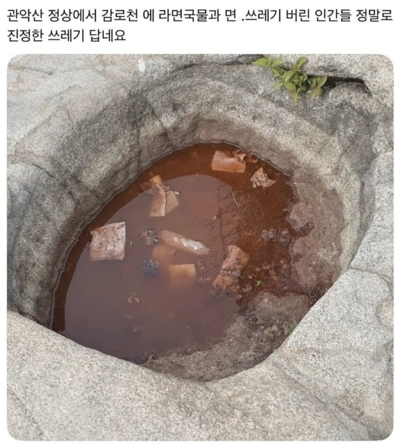 관악산 '정기 맛집' 소문에 MZ세대 몰려들더니…'라면국물 웅덩이' 쓰레기 몸살
