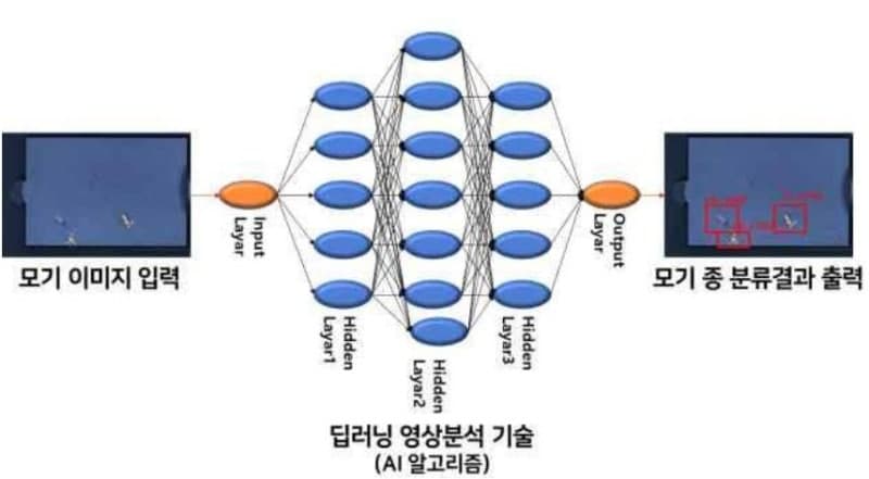충남도, "인공지능으로 모기 감시해 감염병 대응" 강화