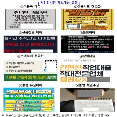 금감원, 'SNS 불법금융광고' 시민감시단 3배 확대…국민이 직접 찾는다