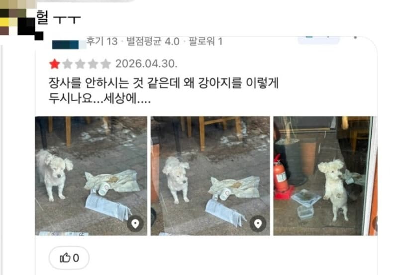 성시경 추천 '용산 맛집' 업주, 폐업 후 반려견 방치 논란…"상황상 어쩔 수 없었다" 해명