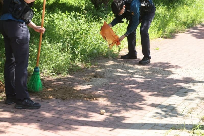 광주 도심서 여고생 찔러 숨지게 한 20대 남성 검거