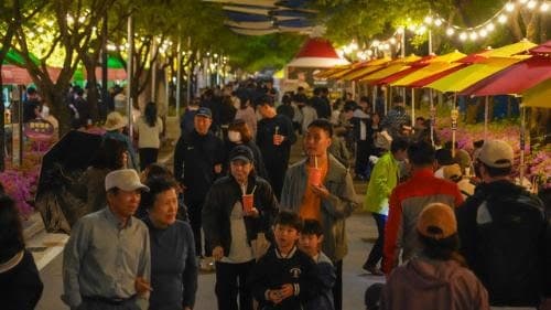 “황금연휴 타고 날았다” 2026 청춘양구 곰취축제, 사흘간 10만명 방문 ‘역대급 흥행’