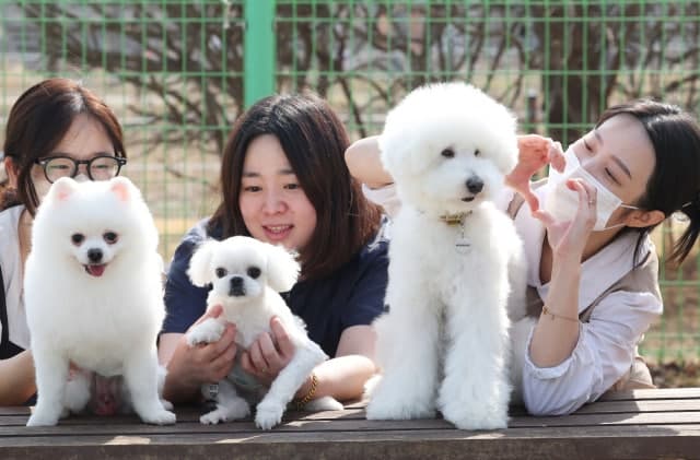 “오월은 댕댕이달”…유통·여행업계, 반려가족 겨냥 '펫스티벌' 경쟁 봇물
