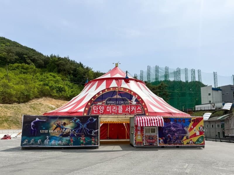 단양에 새 명물 '상설 서커스 공연장' 8일 개장…관광객 유치 기대