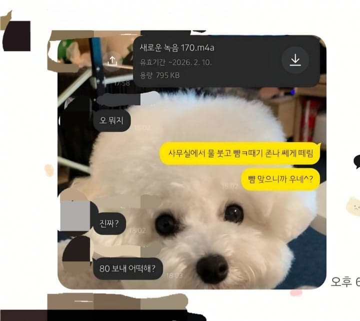 인천시의회 동료 폭행 공무원, 벌금 500만원 약식기소…피해자 측 "징계 촉구"