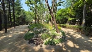 서초구, 서초IC~한강 잇는 4.5km '길마중 초록숲길' 전 구간 완성