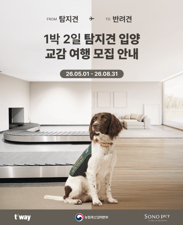 항공업계, 유기·탐지견 입양 캠페인 확대... "같이 탄 반려견에도 선물"