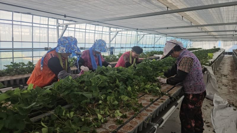 전남도, "여성농어업인 행복바우처" 15일까지 추가 접수 연장