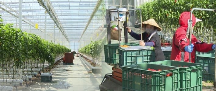 전주시, 베트남 손라성과 협약 "계절근로자 본격 도입"…농번기 인력난 해소 기대