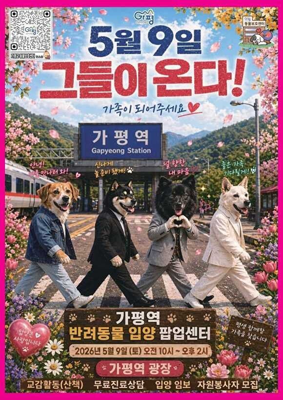 "양육 책임있게"…가평군, 가평역광장서 '반려동물 입양 팝업센터' 운영