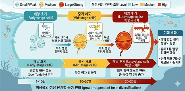 바닷속 유해조류 독성, 미생물 성장 단계에 따라 최대 5배 증가…생명연, 해양 안전 관리 새 기준 제시