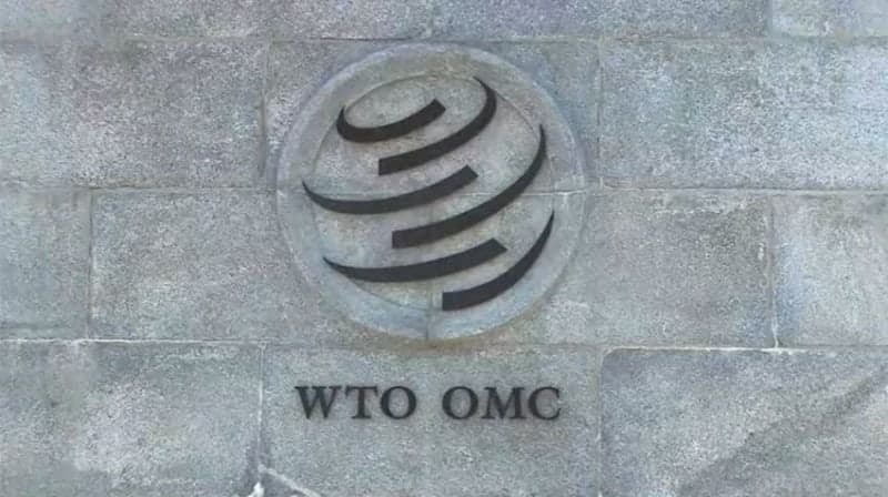 로이터 "한·미·일 등 WTO 19개국 '디지털 전송 무관세' 합의"