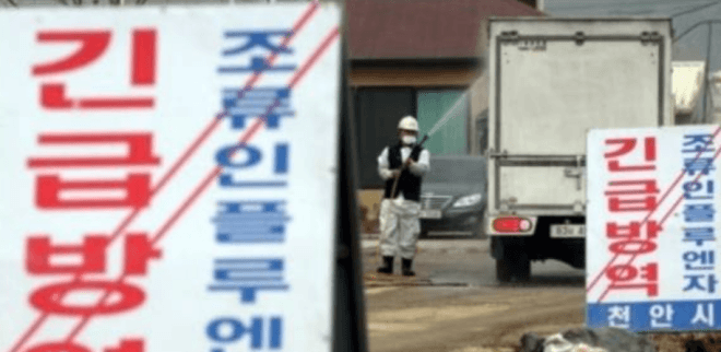 충남도, 고병원성 AI 방역대 150일만에 '전면 해제'…평시체계 전환