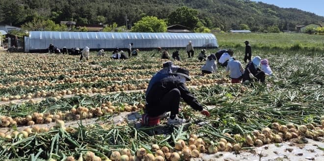 전남도, 6월까지 영농철 일손 돕기 본격화
