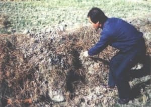“들쥐 3000마리 잡고 자기 팔에 주사”…크루즈선 공포가 소환한 '한국의 파스퇴르'