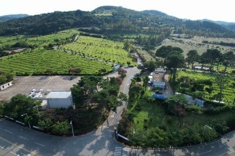 5·18 구묘지, 'K-민주주의 산교육장'으로 조성…2029년 준공
