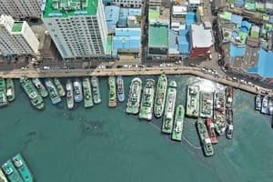 부산 영도 앞바다에 기름 2700ℓ 유출하고 은폐한 60대 적발