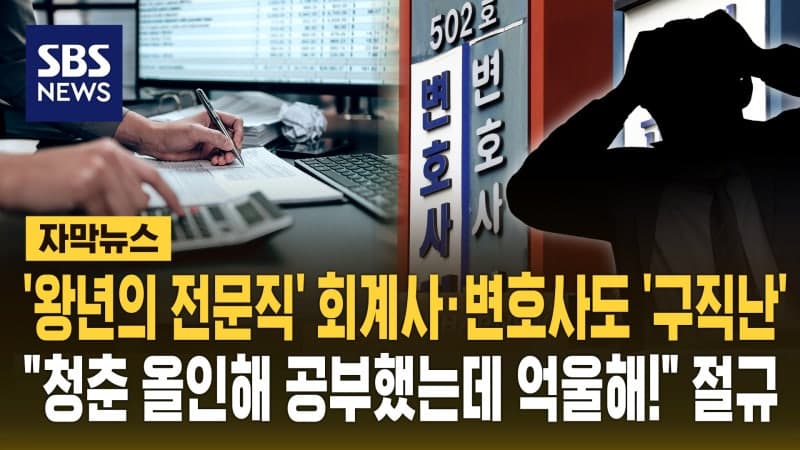 "몇년을 공부해 겨우 합격했는데"...AI에 자리 뺏겨 갈 곳 잃은 회계사·변호사