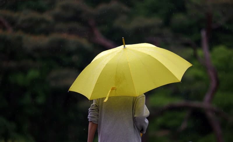 "출근길 우산 챙기세요"…전국 대부분 비, 돌풍·우박 동반 요란한 봄비