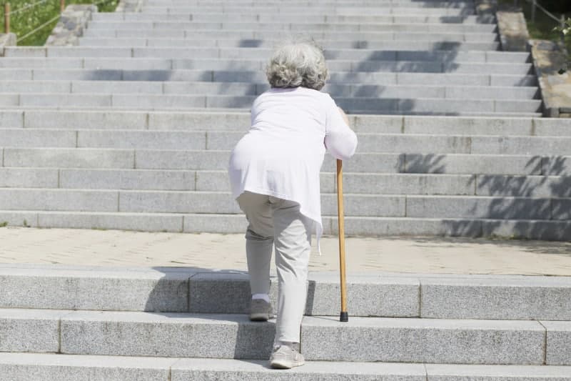 “월세 받고 에쿠스 타는 기초수급자”…5400만원 챙긴 70대 할머니, 항소심도 징역형