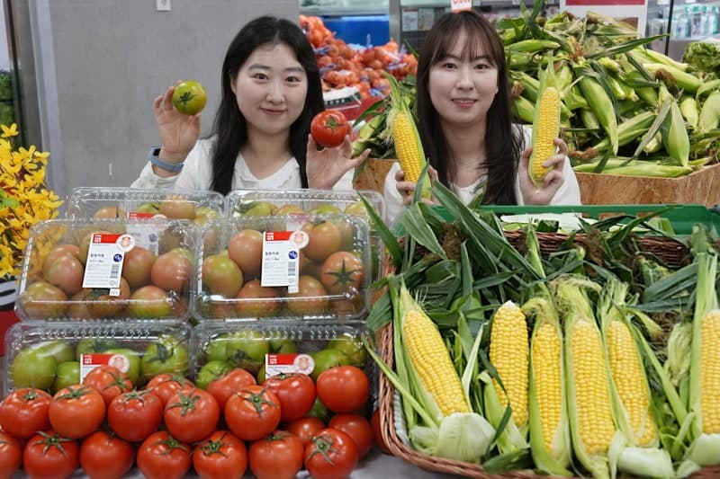 “벌써 초당옥수수 나온다”…롯데마트, 초여름 농산물 '얼리 시즌'