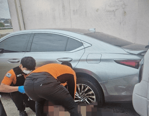 경사로 밀려 내려오던 1t 트럭 막으려던 70대 행인 참변