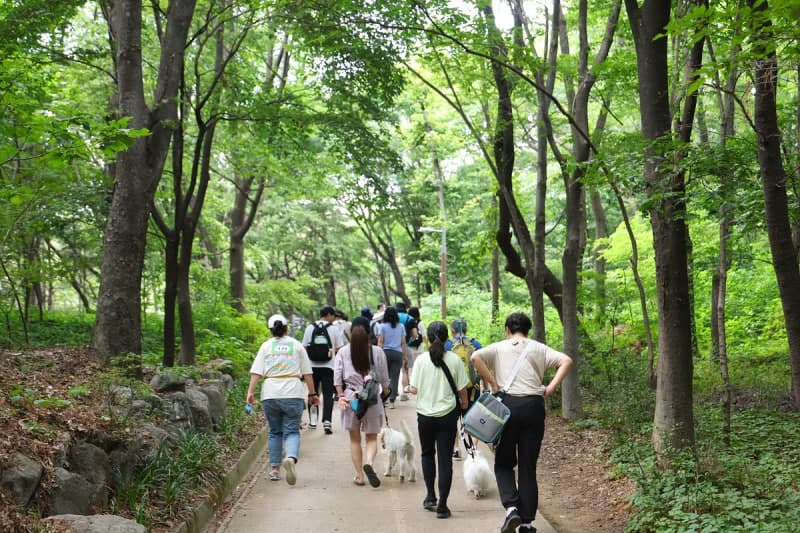 종로구, 6월까지 반려동물 등록 자진신고 기간 운영…과태료 면제