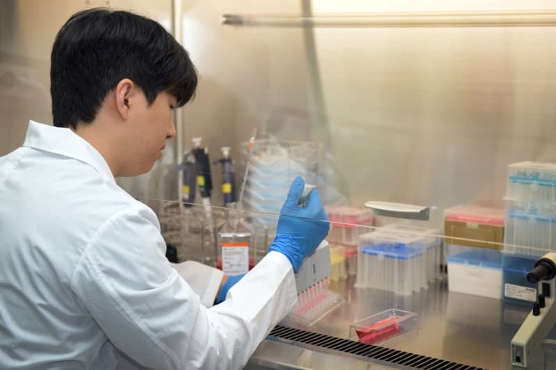 “최대 22배 더 검출”…손상 DNA 조각 초정밀 분석 기술로 개인 맞춤형 항암치료 활용