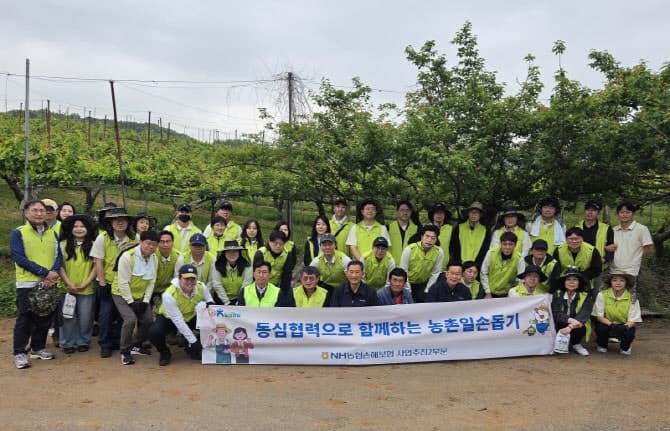 농협손보, 경기 김포 배 농가서 영농철 일손돕기 실시