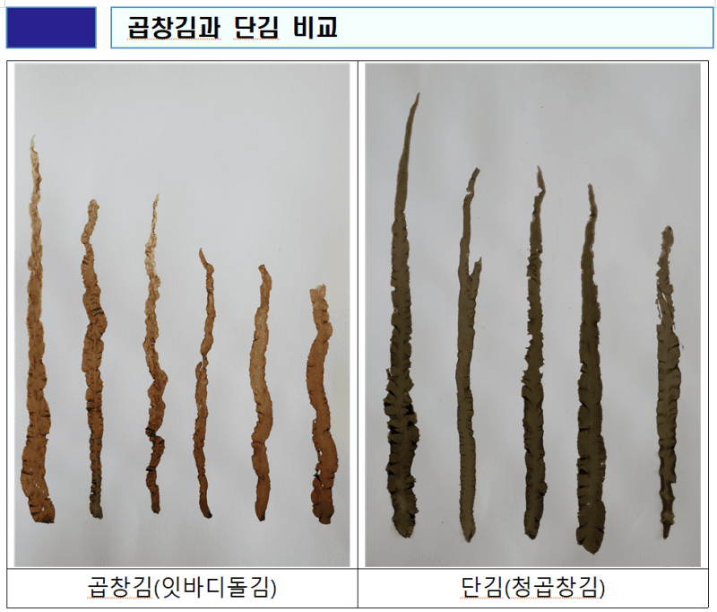"외래종 단김 양식 안 돼"…해수부, 불법 양식 근절 나선다