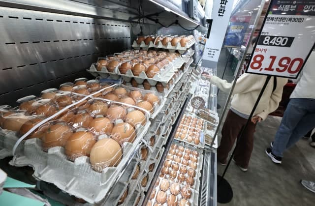 “근거 없이 계란값 결정”…공정위, 산란계협회에 과징금 5.9억