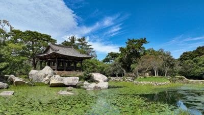 "완도에서 함께 힐링"…청산도·보길도 '섬섬 걸을래' 공모 선정, 걷고 쉬며 치유한다