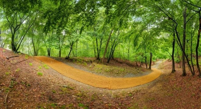 초록빛 넘실대는 '왕릉 산책' 어때요…6월까지 조선 왕릉 숲길 9곳 개방