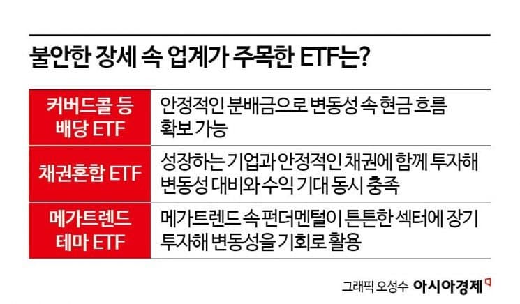 주도주+변동성 '둘다 놓치지 않을 거에요'…'삼전닉스' 이어 '삼전현차' 채권혼합 ETF 14조 몰렸다