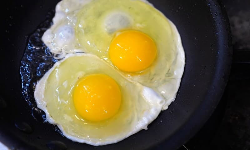 “어쩐지 비싸다 했더니”…‘계란값 담합’ 산란계협회 6억 과징금, 정부 “협회 해산 검토”