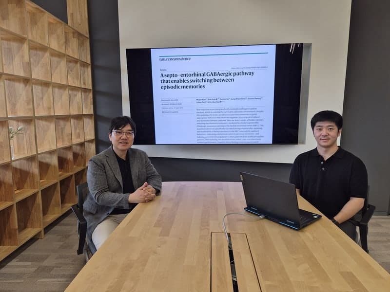 KAIST, 뇌 속 '기억 전환 스위치' 세계 첫 규명 "치매 치료 기대"