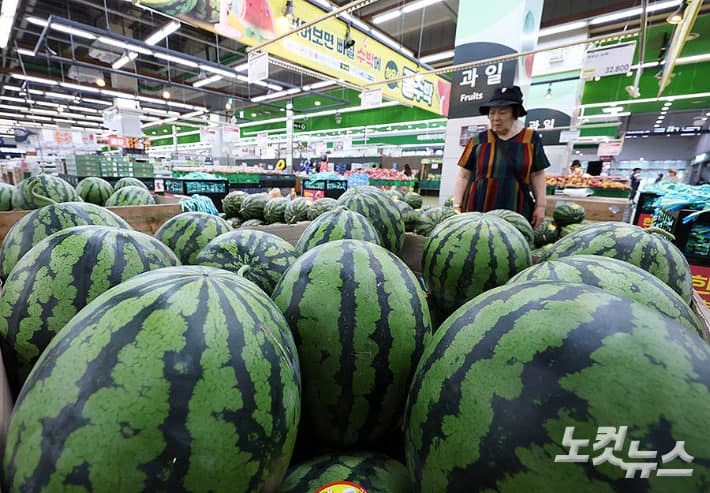 채소값은 내리고 참외·수박 등 과일값은 강세, "숨통 트인 밥상물가"