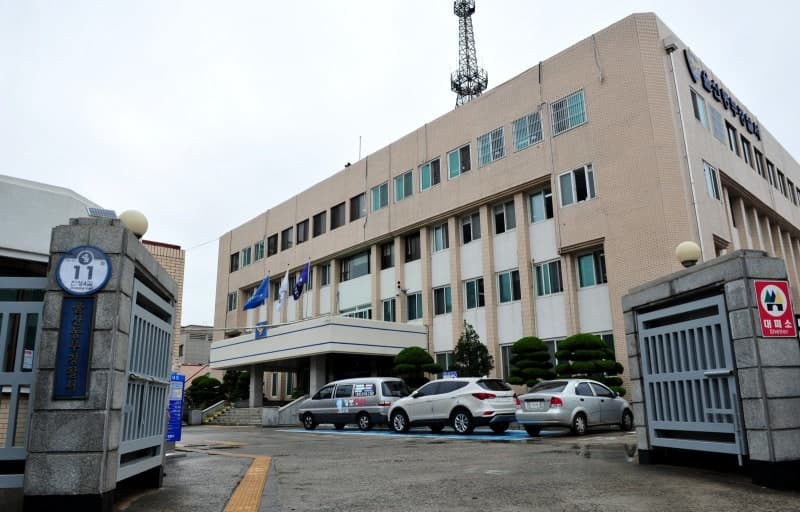 80대 조부 흉기 살해 혐의 20대 손녀 구속영장 신청