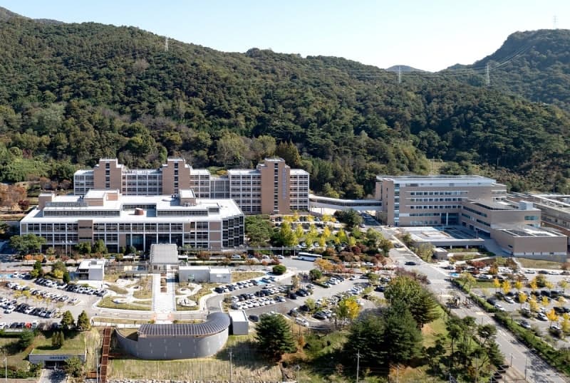 2023년 광주·전남 암 환자 1만9654명, 전년 대비 3.6% 증가…갑상선암·폐암 많아