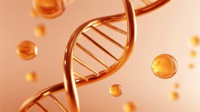 IBS, "유전자 기능 선택적 제어 가능"…필수 유전자도 원하는 순간에 껐다 켠다