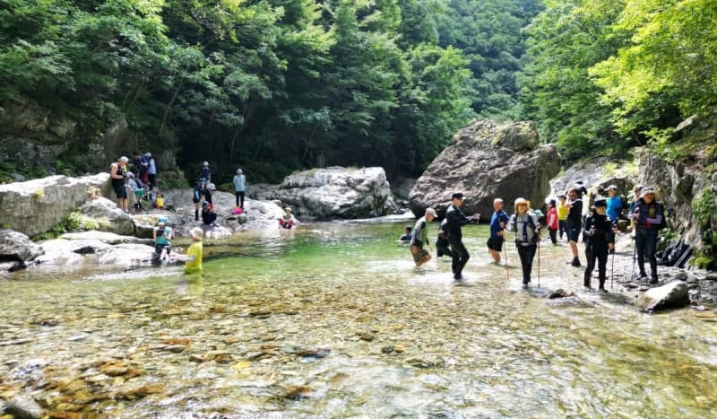 인제 아침가리계곡, '청정 비경' 간직한 트레킹 명소 탐방 재개