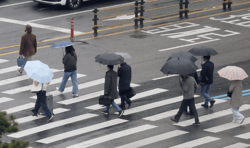 전국 비바람 주의, 출근길 우산 필수…돌풍·천둥·번개 동반 강한 비