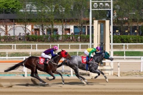 클린원 vs 석세스백파, 렛츠런파크 부산경남서 장거리 최강마 가린다