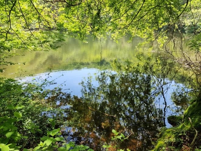 “사라지는 습지를 지킨다”… 물찻오름, 제주도 제1호 습지보호지역 지정 추진