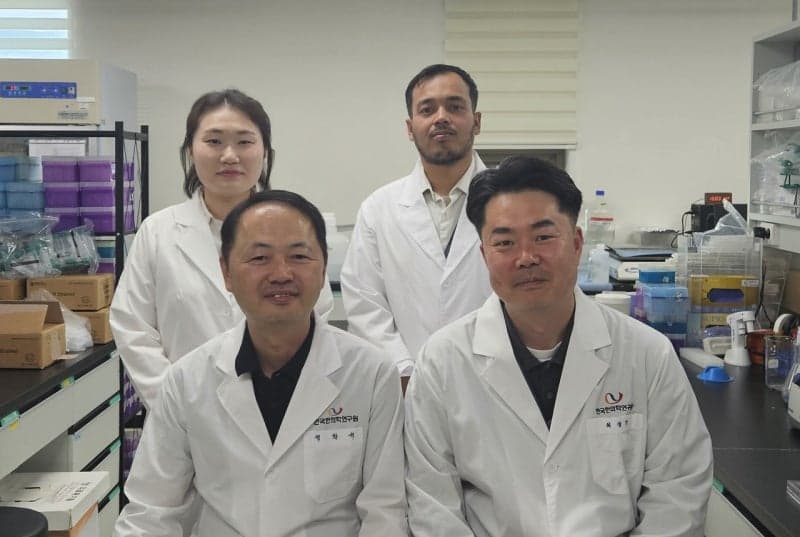 “대장암 종양 성장” 7배 억제…다발성경화증 치료제, 항암 증진 가능성 확인