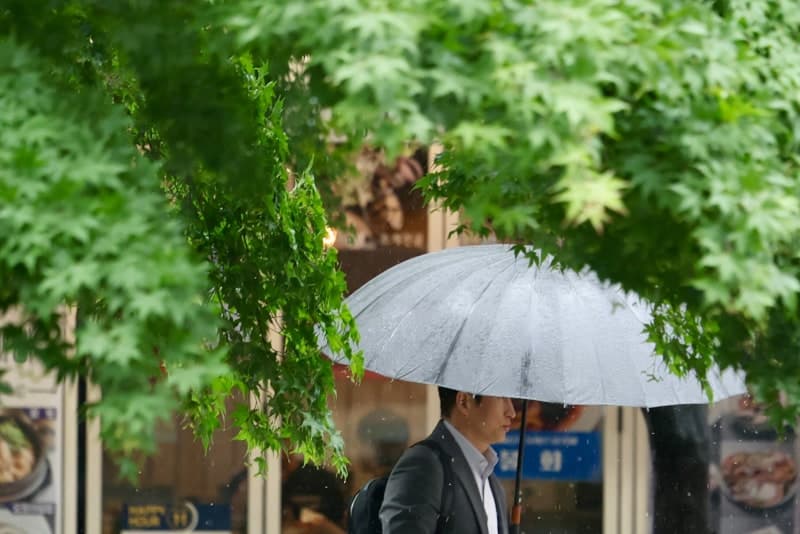 주말 전국 곳곳 약한 비…다음 주 초까지 비 소식 이어져