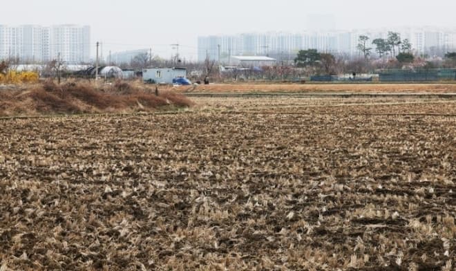 세종시, 5만3천필지 농지 전수조사 돌입…'실경작' 여부 확인