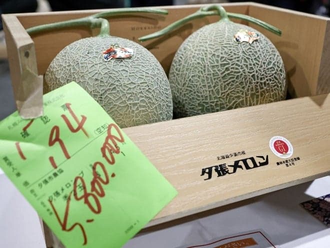 "이러다 6000만원도 가겠네"…5500만원에 팔린 日 '명품 멜론' 또 최고가 경신